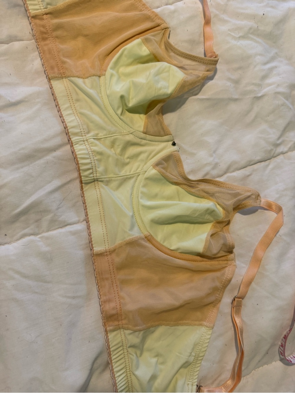 Intimo Yellow and Peach Wireless Soft Cup Bra